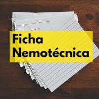 ficha nemotecnica memorizar estudiar tecnicas de estudio