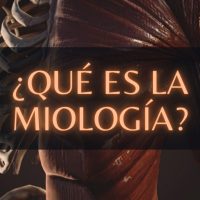 Qué es la miología Sistema Muscular