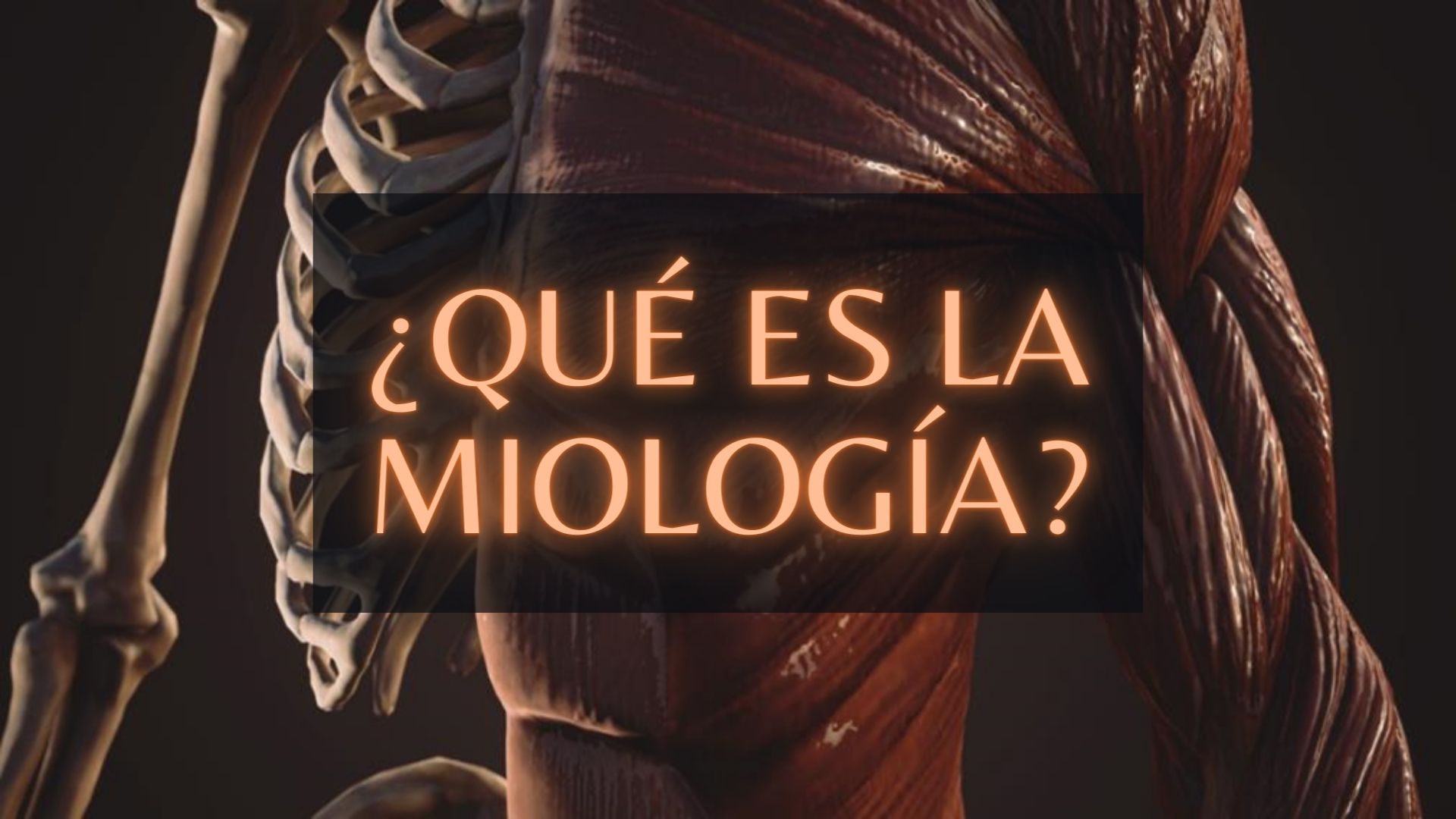 Qué es la miología Sistema Muscular